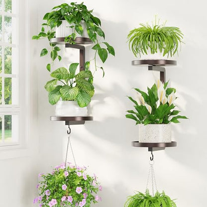 LASZOLA Plant Hanger Holder Window Shelf Wall Mounted Indoor, 2 Pcs Bronze - color: Classic Bronze, size: 2