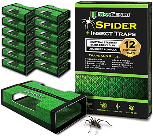 MaxGuard Spider + Insect Traps (12 pcs Box Trap) | Non-Toxic Extra Sticky Glue Traps, Kill Black Widow Hobo Brown Recluse Spiders and Other Crawling Bugs & Insects | - size: Standard