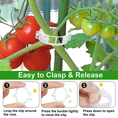 250 Pcs Tomato Clips and Hooks, Plant Support Clips for Tomatoes Grape Grow