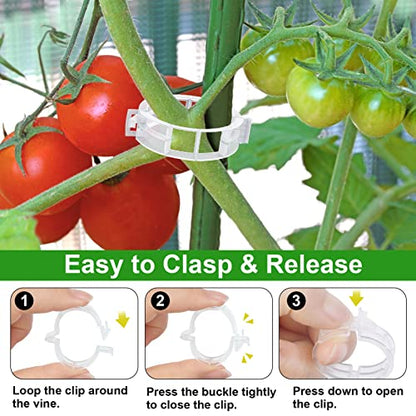 250 Pcs Tomato Clips and Hooks, Plant Support Clips for Tomatoes Grape Grow
