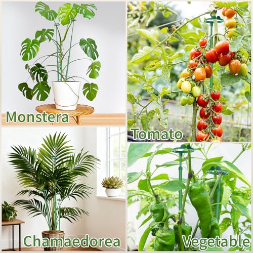 Extendable Monstera Plant Stakes, Support Sticks with Clips 5 Pack - size: 42.3Inches5PCS