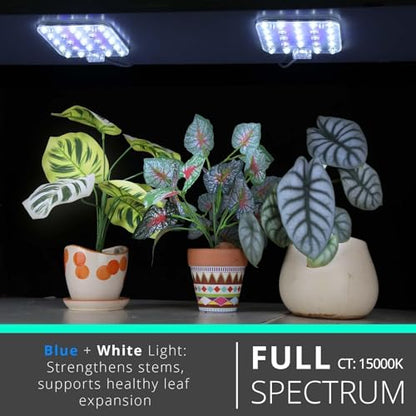 Under Shelf Grow Light, Auto Timer, Dimmable, Bluish White, 1-Pack - color: Bluish White