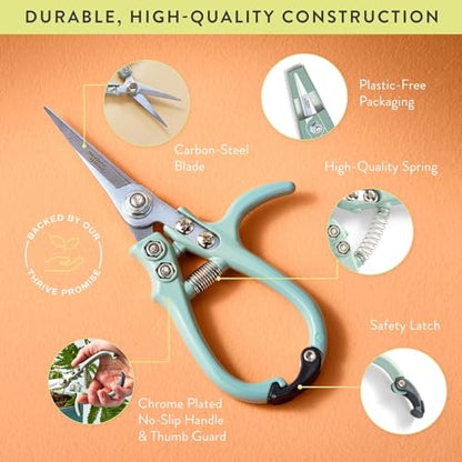 Modern Sprout Pruning Shears - Garden Snips - Herb Scissors - Multi 12-Pack - color: Multicolor - 12pcs