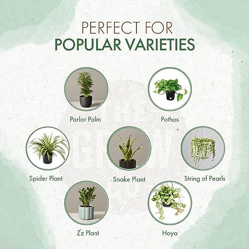Organic Indoor Plant Food - All-Purpose Liquid Fertilizer - Best for Live Houseplants Indoors + Common Home Outdoor Plants in Pots (8 oz) (Pack of 2) - size: 8 ounces (Pack of 2)