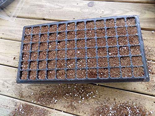 Bootstrap Farmer 50 Cell Seed Starting Trays Extra Strength, 5 Pack, Seedling Tray 1020 Inserts - size: 5 Cell Trays