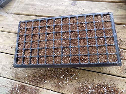 Bootstrap Farmer 50 Cell Seed Starting Trays Extra Strength, 60 Pack, Seedling Tray 1020 Inserts - size: 60 Cell Trays