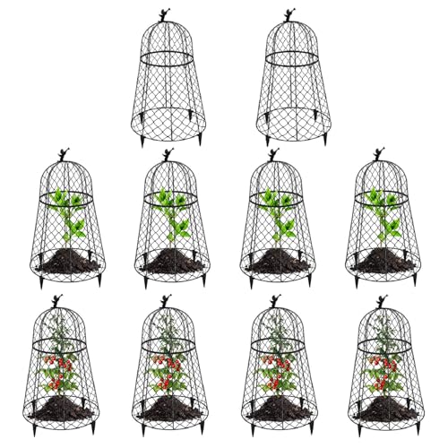 10 Pack Plant Protectors from Animals, Garden Cloches for Plants, Rustproof Chicken Wire Cloche Plant Cages to Keep Animals Out, Sturdy Metal Garden Cages for Outdoor Plants 13" D x 20" H - size: 10 Sets(13"D x 20"H)