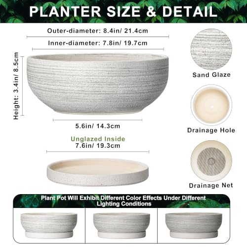 Ceramic Bonsai Planter, 8 Inch Succulent Pot with Tray, Brushed Grey - color: Brushed Grey, size: 8 Inch