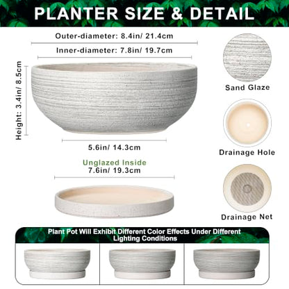 Ceramic Bonsai Planter, 8 Inch Succulent Pot with Tray, Brushed Grey - color: Brushed Grey, size: 8 Inch