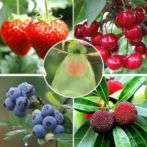 30 Pcs 3.9''×5.9'' Drawstring Fruit Netting Bags, Reusable Garden Netting Bags, Fruit Cover Mesh Bag for Fruit Trees Vegetable Floral - size: 3.9''×5.9''