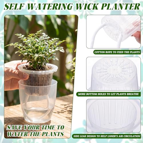 Self Watering Plant Pots, 3.5'', Transparent, 18 Pcs - color: Transparent, size: 3.5''
