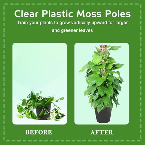 Plastic Moss Pole for Monstera and Climbing Plants, 24-Inch, 4-Pack