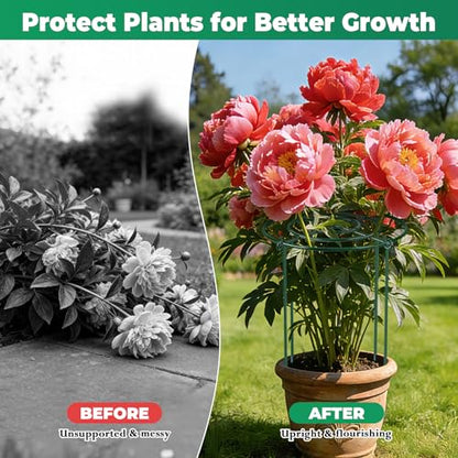 QwayHome 6Pack Peony Cages and Supports 33''H x 13''D Grow Through Large Plant Support, Adjustable High, Heavy Duty, Rust-Resistant, Round, Flower Support Cage Ring for Rose Tomato Hydrangea - size: 6Pack- 13"D x 33"H