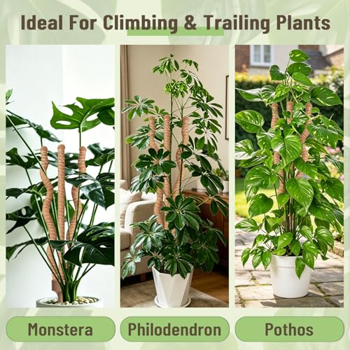 3-in-1 Moss Pole, Bendable 30IN Monstera Plant Support for Indoor-1 Pack - size: 30IN-1PACK