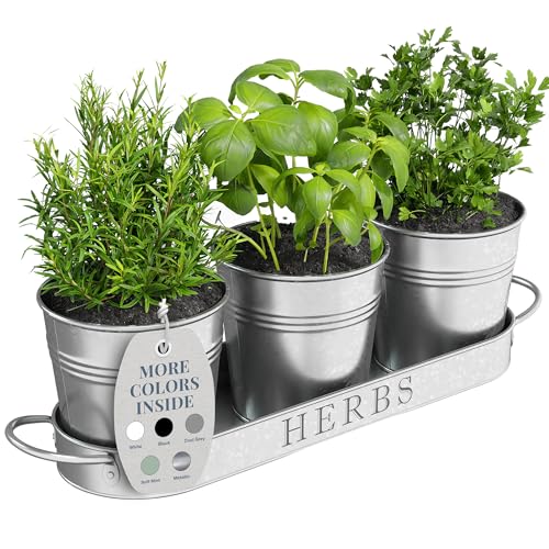 Barnyard Designs Indoor Herb Garden Planter Pots Set/3 (Galvanized) - color: Galvanized