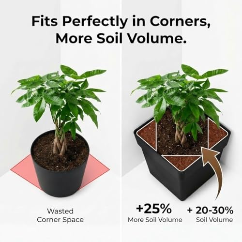 6-Pack 7 Inch Square Planters with Built-in Drainage Tray & Bottom Plug - color: Black