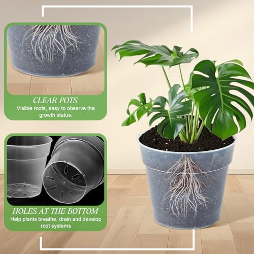 Vesici 24 Pcs 3/4/5/6/7/8/9/10 Inch Large Thickened Clear Nursery Pots - size: 3/4/5/6/7/8/9/10 Inch