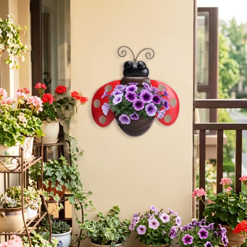 Ladybug Metal Wall Planter, Wall Mount Hanging Succulent Pot with Drainage - color: Red Ladybug