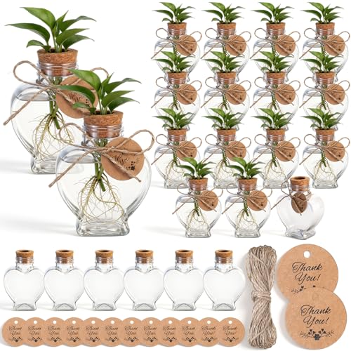 24 Pack 3.74'' Heart Plastic Plant Propagation Stations with Hole Lid - style: 3.74'' Heart