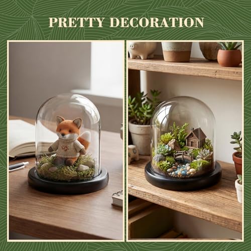 Suclain 4Pc Glass Dome Cloche with Wood Base, Black, 4.3" X 3.8" - color: Black, size: 4.3" X 3.8"