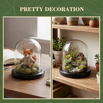 Suclain 4Pc Glass Dome Cloche with Wood Base, Black, 4.3" X 3.8" - color: Black, size: 4.3" X 3.8"