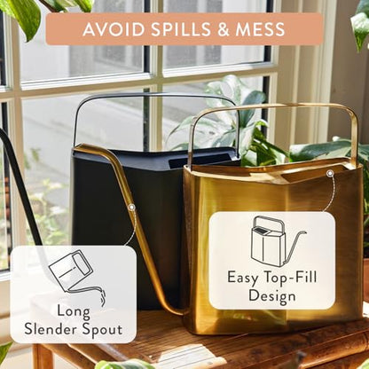 Modern Sprout Brass Watering Can - 3L Stainless Steel - Long Spout (Black)