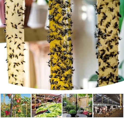 40 Pcs Fly Trap Strips Indoor Outdoor, Fruit Fly Paper Tape Sticky with Pin - size: 40 pack