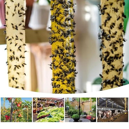 40 Pcs Fly Trap Strips Indoor Outdoor, Fruit Fly Paper Tape Sticky with Pin - size: 40 pack
