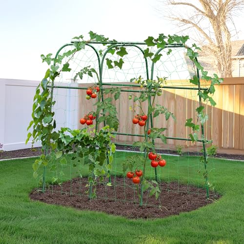 HIRALIY Cucumber Trellis for Climbing Plants, 4ft Tall, Green - size: 48"L x 31"W x 48"H-Tunnel Trellis