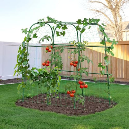 HIRALIY Cucumber Trellis for Climbing Plants, 4ft Tall, Green - size: 48"L x 31"W x 48"H-Tunnel Trellis