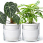D'vine Dev Self-Watering White Terracotta Planter, 6 in, 2-Pack, 37-Y-B-2 - color: White, size: 6 Inch