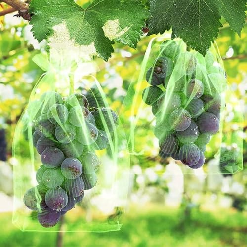 10Pcs Fruit Protection Bags Reusable Insect Proof Green Netting Cover Drawstring Bags Fruit Tree Plants Garden Supplies (Green,20x30cm) - color: Green,20x30cm