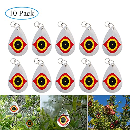 10 Pack Scare Eye Deterrent, Predator Eye for Birds - size: 10 Pack