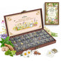Lush&Dew Holistic Family Apothecary Seed Chest, 30000+ Medicinal Herb Seeds - style: Holistic Family Herbs