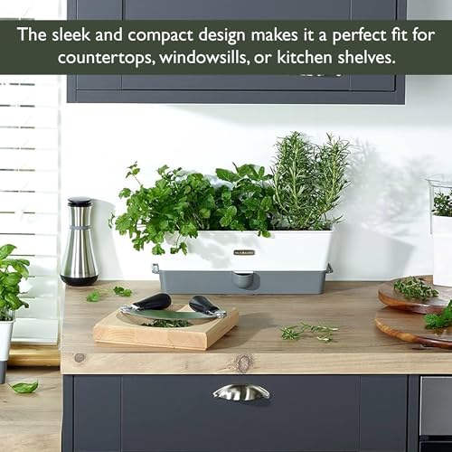 Cole & Mason Burwell Self-Watering Potted Herb Keeper - size: Triple Fresh Herb Keeper