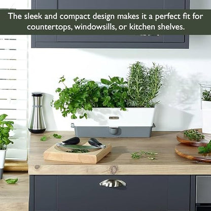 Cole & Mason Burwell Self-Watering Potted Herb Keeper - size: Triple Fresh Herb Keeper