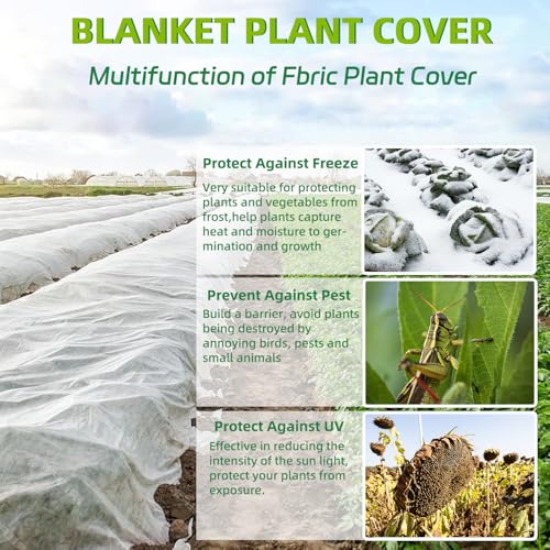 NANYEZH Plant Covers Freeze Protection, 10Ft x 30Ft Frost Blankets for Outdoor Plants, 1.1oz/yd² Garden Floating Row Fabric Cover, Raised Garden Bed Cover for Winter Vegetables, Pest, Sun Protection - size: 10FT x 30FT, 1.1oz