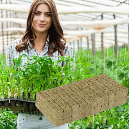 50pcs Planting Cubes Sponge Block Starter Plugs Stone Hydroponic Seed Block
