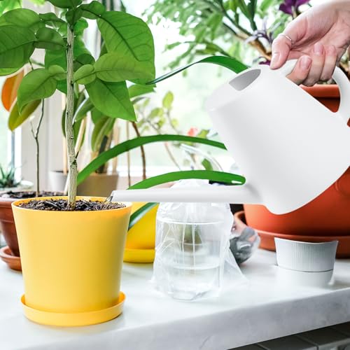 Indoor and Outdoor Watering Can - Long Spout -1/2 Gallon (64oz) - White - color: White
