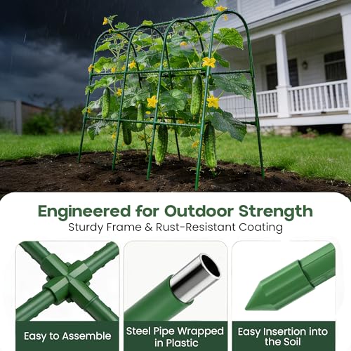 50x50 Cucumber Trellis for Raised Bed- A Frame Vegetable Garden Trellis