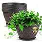 6 Pack 8 Inch Plant Pots, Planters with Drainage Holes & Saucers - size: 8 Inch - 6Pack