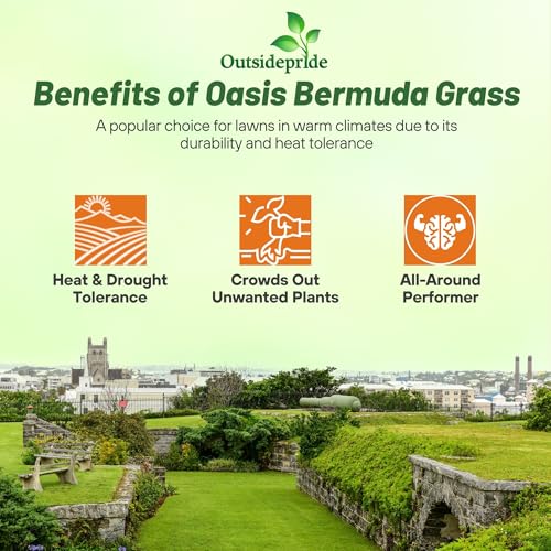 Outsidepride Oasis Bermuda Grass Seed - 25 lbs Warm Season, High Traffic, Heat Resistant, Drought-Tolerant, Low-Maintenance, Fast Growing Turf Grass for Lawn, Ideal for Sunny Areas, Thick Coverage - size: 25 lb.