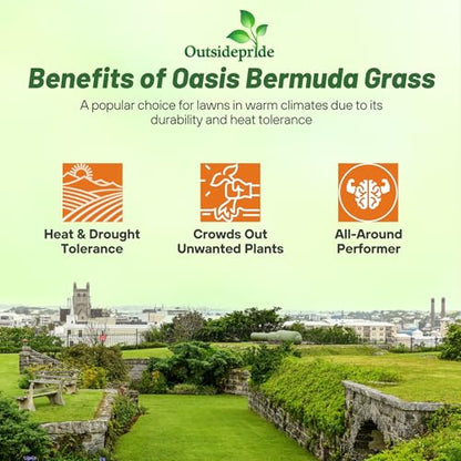 Outsidepride Oasis Bermuda Grass Seed - 25 lbs Warm Season, High Traffic, Heat Resistant, Drought-Tolerant, Low-Maintenance, Fast Growing Turf Grass for Lawn, Ideal for Sunny Areas, Thick Coverage - size: 25 lb.