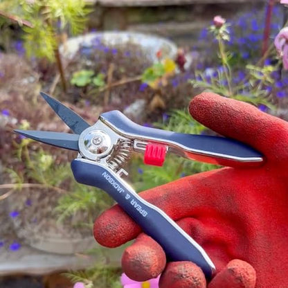 Spear & Jackson Razorsharp Mini Pruner Set for Small Garden Tasks and Bonsai Care, 2 Piece Precision Compact Lightweight Ergonomic Pruning Shears - style: Mini Pruner Set