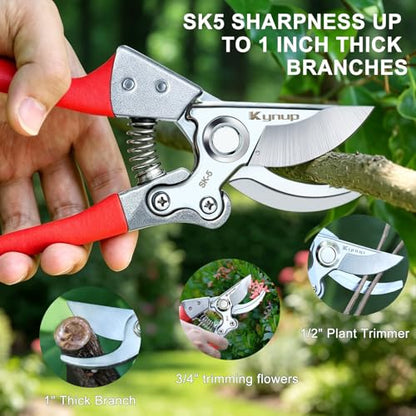Kynup 2Packs Pruning Shears for Gardening, Garden Shears Scissors Heavy Duty, Bypass Pruner Hand Shears, Tree Trimmers Secateurs, Garden Clippers for Plants, Hedge Shears, Garden Tools (Red) - style: Modern 2Pack Red