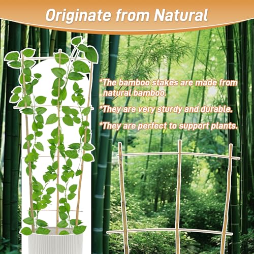 10 Pack 4ft Bamboo Trellis for Climbing Plants, Fan-Shaped Garden Support - size: 4 FT