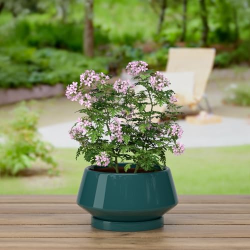 10 Inch Green Ceramic Planter with Drainage Hole and Saucer - color: Green, size: Large