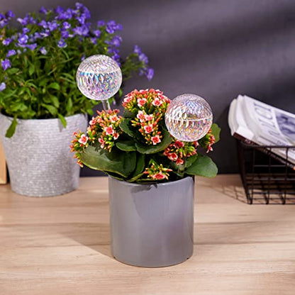 Tomorotec Glass Plant Self Watering Globes 2-Pack Pearl Luster Iridescent