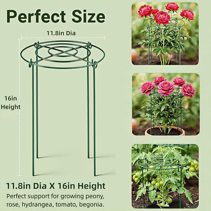 4 Packs Peony Cages and Supports, 11.8"x16" Metal Plant Supports