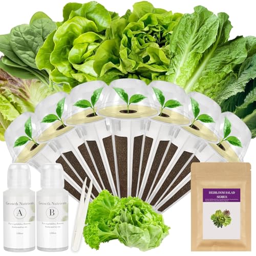 Salad Greens Seed Pod Kit for AeroGarden, iDoo, Ahopegarden, MUFGA with Red/Green Romain/American Fast/Buttercrunch/Parris Island Lettuce, Spinach - Compatible with All Garden(8-Pod) - color: salad greens, size: 7-pods